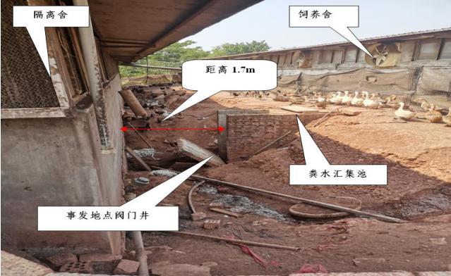 11.21 8.png 11.21 8.png