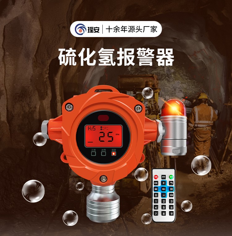 硫化氫報(bào)警器詳情頁_02.jpg