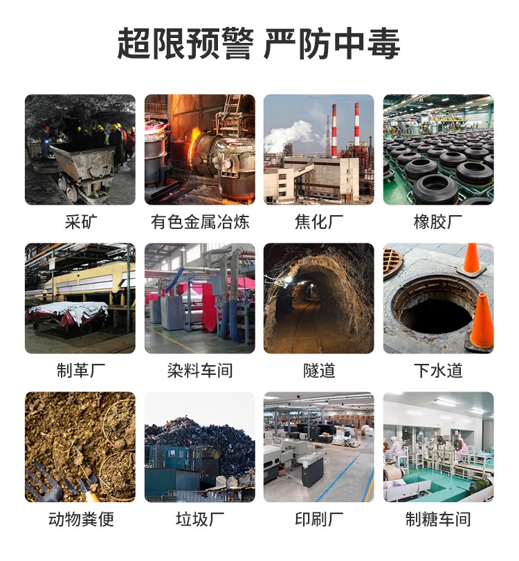 硫化氫報(bào)警器詳情頁_04.jpg